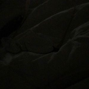 Meet your Posher, Judy